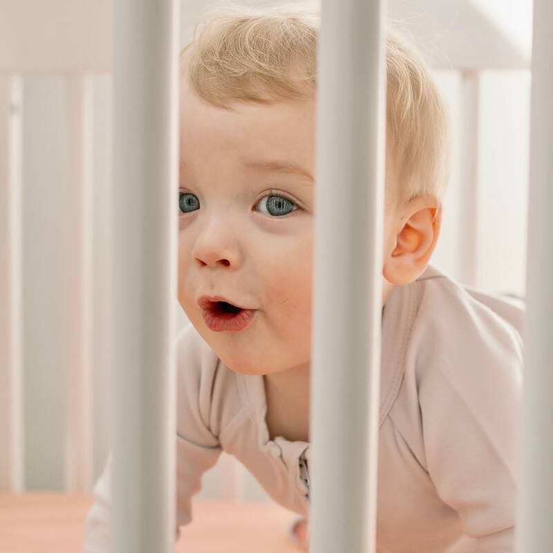 Milk Street True Traditional Crib