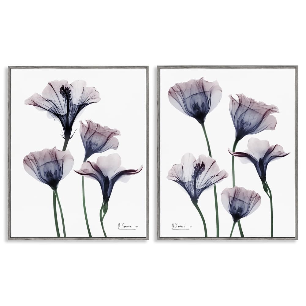 Stupell Bountiful Dusk Lilies Framed Giclee Art Design By Albert Koetsier (Set of 2)