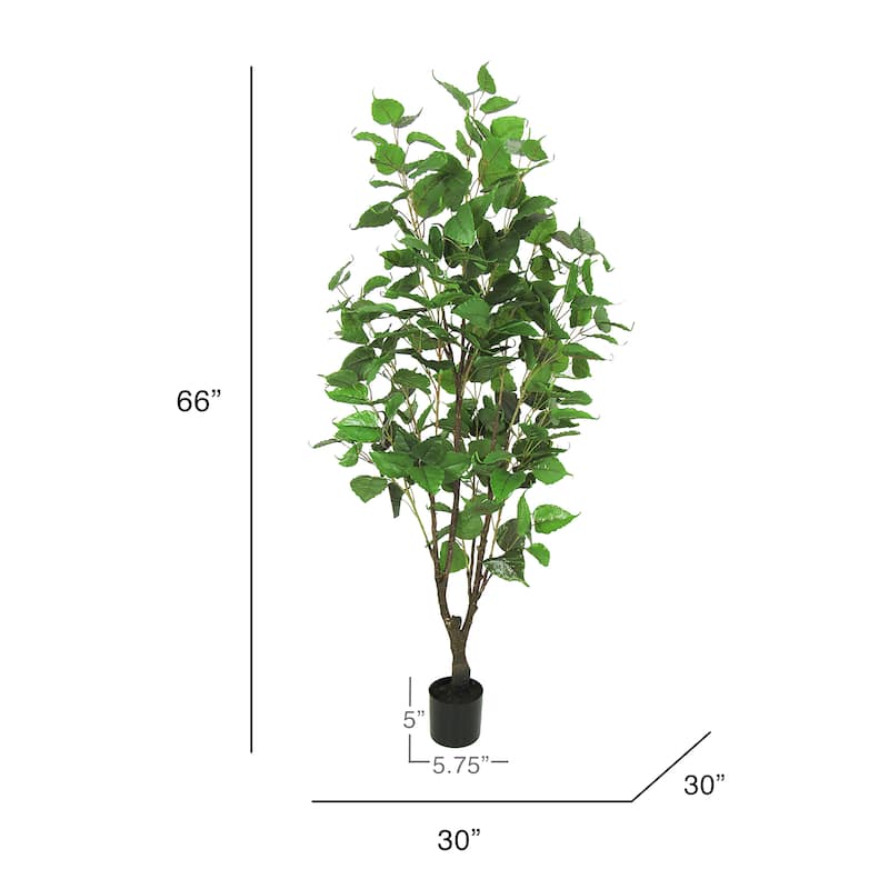 5.5ft Artificial Birch Tree Plant in Black Pot - 66" H x 30" W x 30" DP