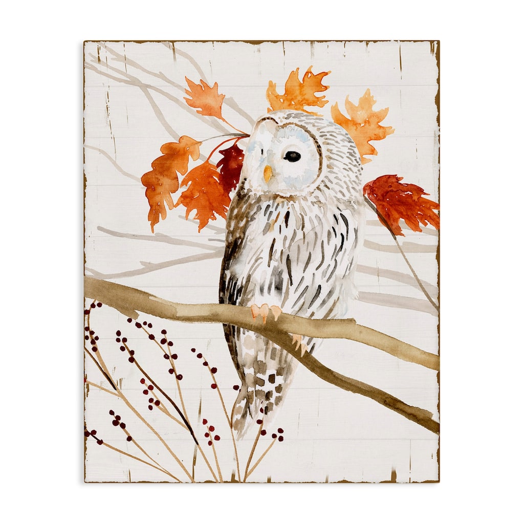 Stupell Owl In Fall Forest Animal Watercolor Painting Canvas Wall Art