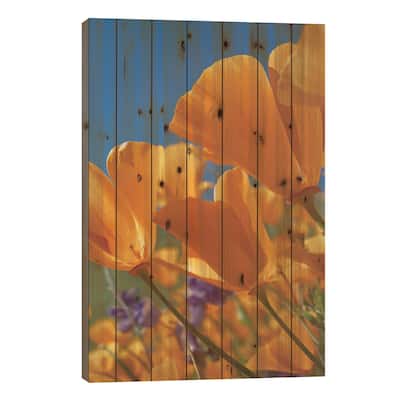 California Poppy Flowers, Antelope Valley, California II Print On Wood by Tim Fitzharris - Multi-Color