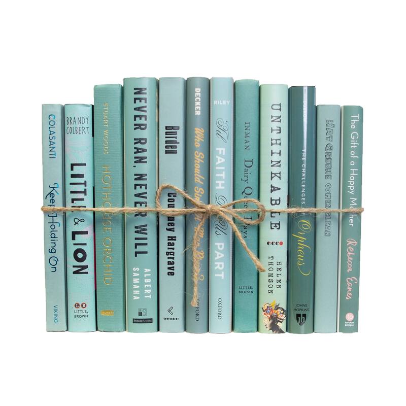Books Blue Decorative Accessories: Aquamarine Mixed Media ColorPak