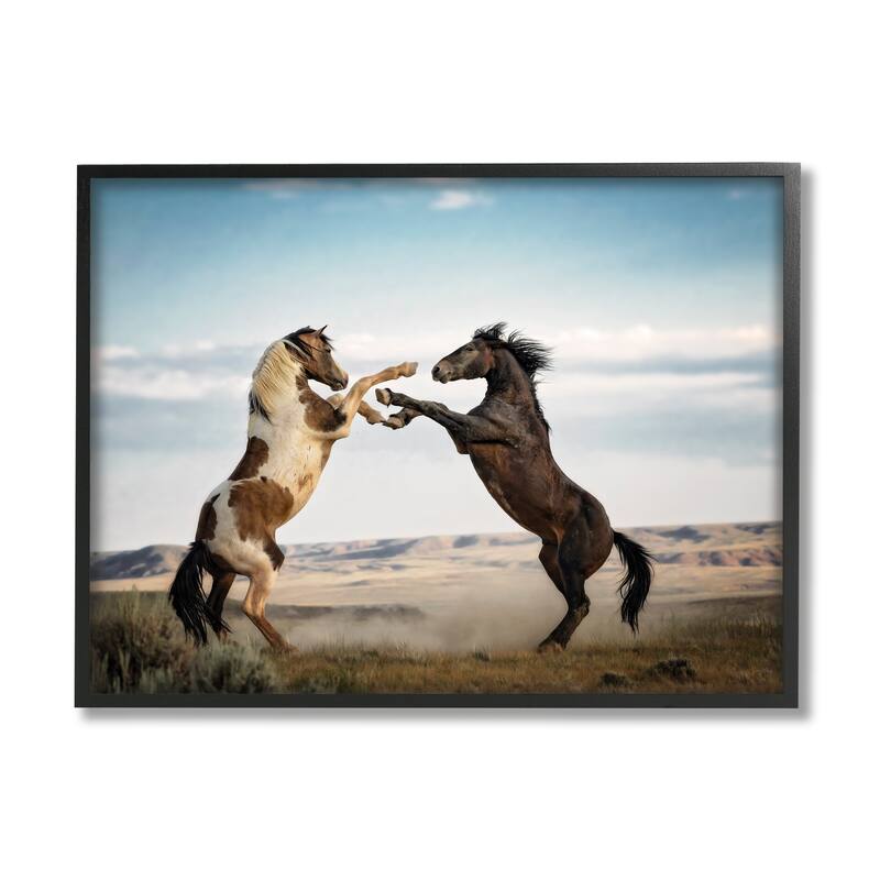 Stupell Fighting Horses Photography Framed Giclee Art Design by PBurchettePhoto - 14 x 11 - Black