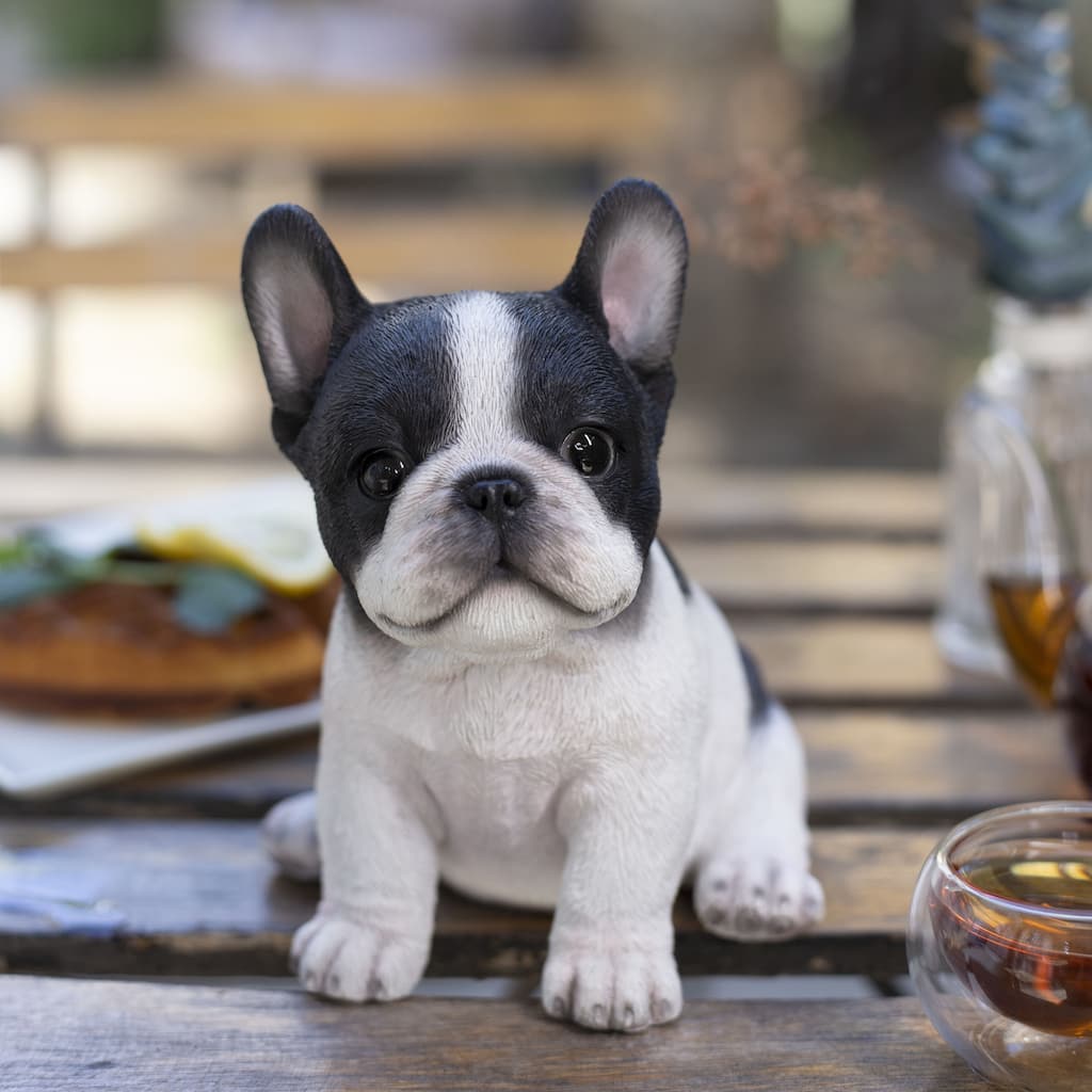 SoReal White & Black French Bulldog Decorative Puppy Figurine for Home & Garden Décor, Handpainted Polyresin Dog Statue
