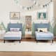 Option Light Blue