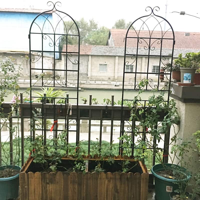 4 Pack Metal Garden Trellis for Climbing Plants Outdoor Rustproof Plant Support Rose Trellis Netting Trellis Black