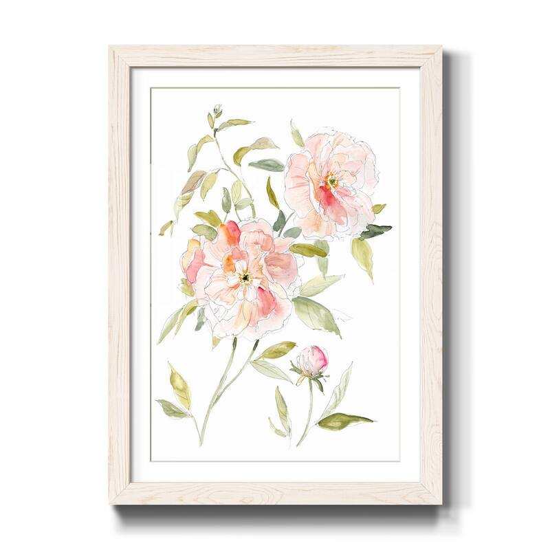 Sketchbook Cottage Rose II-Premium Framed Print - Ready to Hang - 23X32 - White