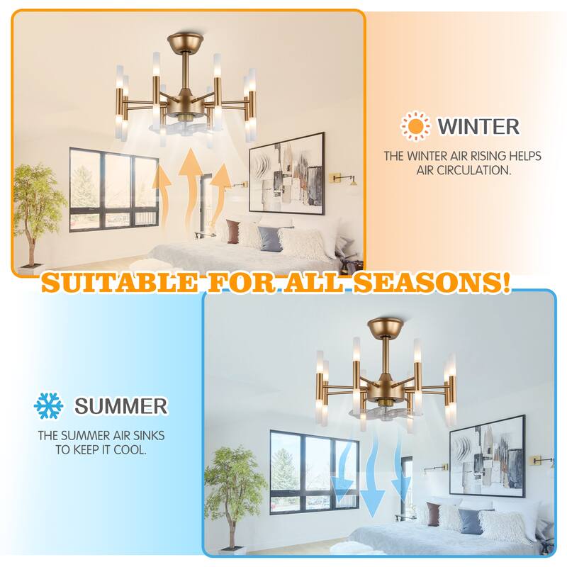 CurveCurio 24" Dark Gold Modern Ceiling Fan w 8 Lights, Chandelier Fan Light Quiet DC Motor 6 Speed Options w remote control