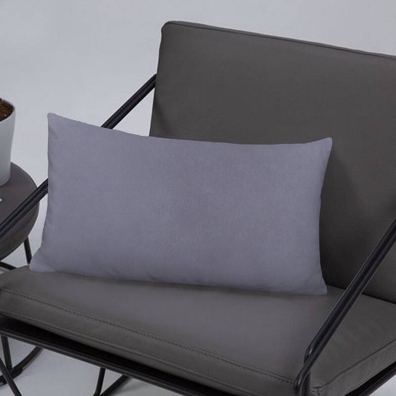 A1HC Pack of 2 Velvet Throw Pillow Insert, Hypoallergenic Down Alternative Fill
