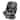 Graco 4Ever DLX 4-in-1 Car Seat, Charlie - N/A