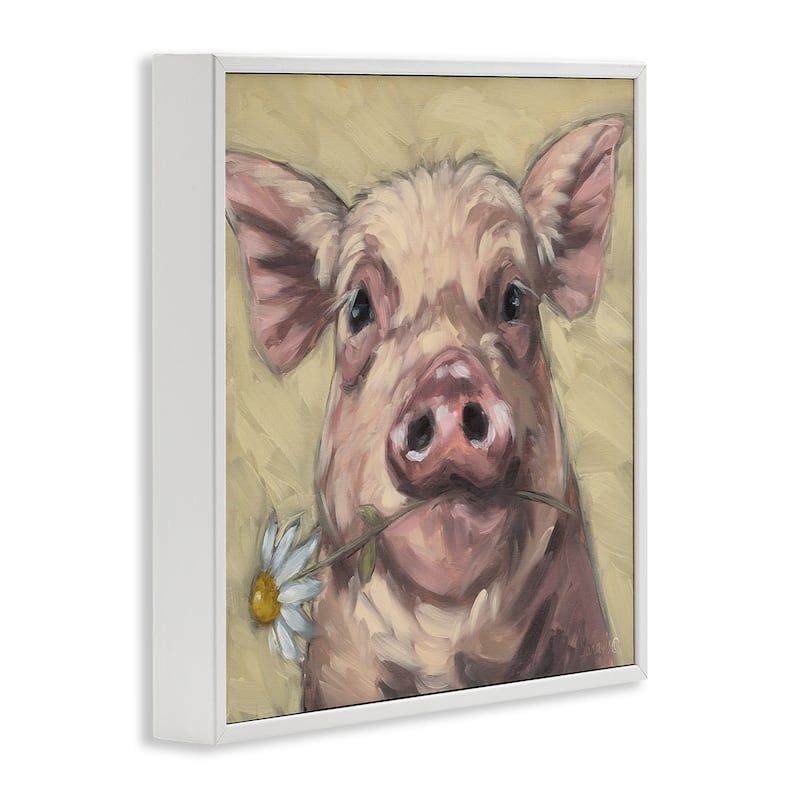 Stupell Pig Holding Daisy Sprig Framed Giclee Art Design By Sara G. Designs