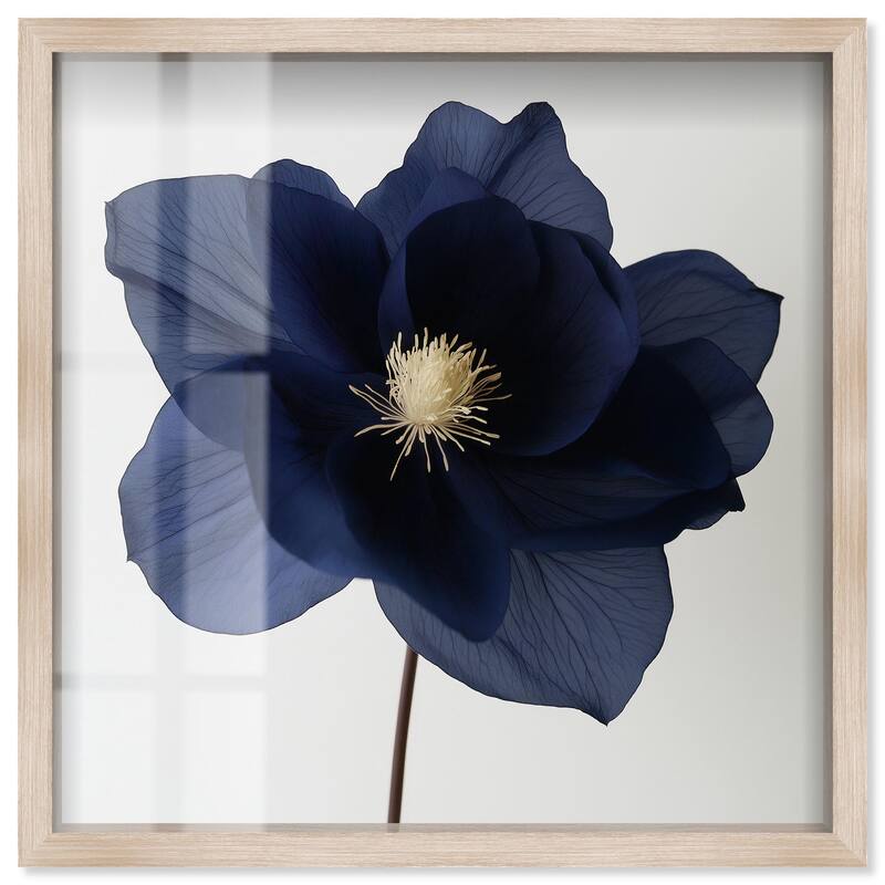 Night Dal III Shadowbox by Art Remedy - Natural - 20" x 20"