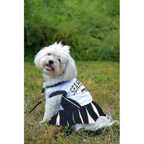 Shop Nfl Seattle Seahawks Cheerleader Dress For Dogs And Cats