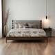 Option Walnut Gray