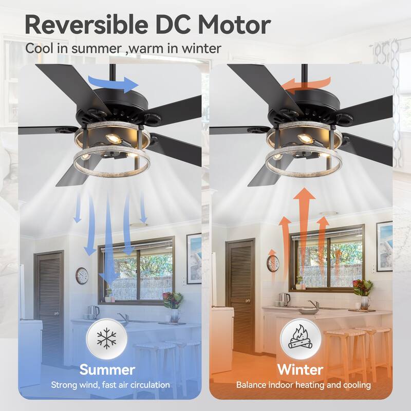 52" Reversible 5-Blade Caged Ceiling Fan with Light and Remote