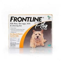 Frontline Flea Drops For Dogs Reviews Frontline Flea Drops For Dogs Reviews
