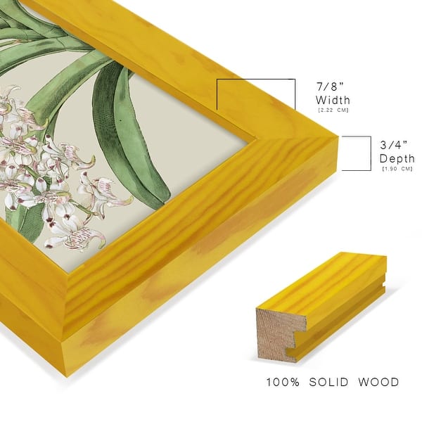 dimension image slide 0 of 15, Orchid Blooms I -Framed Print w/glass-Cherry Red