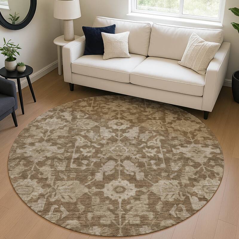 Machine Washable Indoor/ Outdoor Casual Traditional Chantille Rug