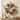 Pumpkins Foliage Grapevine Artificial Thanksgiving Wreath, 24", Unlit