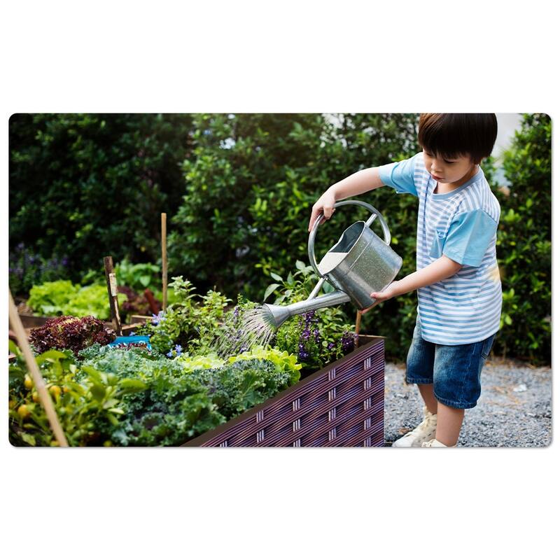 Plastic Raised Garden Bed with Legs for Indoor and Outdoor