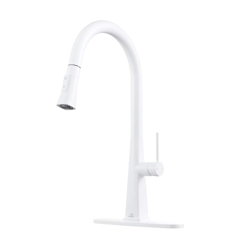 Single Handle Pull-Down Sprayer Kitchen Faucet