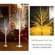 preview thumbnail 6 of 10, 3 Piece Lighted Trees and Branches Set, Christmas Holiday Party Decorations Pre-Lit White Birch Tree LED Lighted Trees