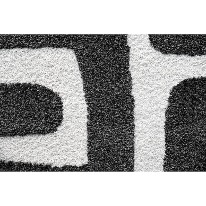 Lillian Black and Ivory Recycled Polyester Area Rug - 6' x 9'