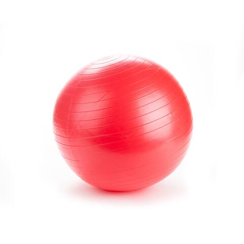 Mind Reader 75A Anti-Burst Exercise Yoga Ball with Pump Stability Balance - 29.53" x 29.53" x 29.53"
