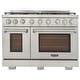 preview thumbnail 3 of 29, Professional 48 in. 6.7 cu. ft. Double Oven Natural Gas Range with 25K Power Burner, Convection Oven in Stainless Steel