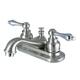Option Brushed Nickel / Polished Chrome
