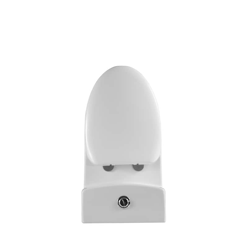 Casa Max 1-Piece 1.2/1.6 GPF Dual Flush Elongated Toilet in White Seat Included