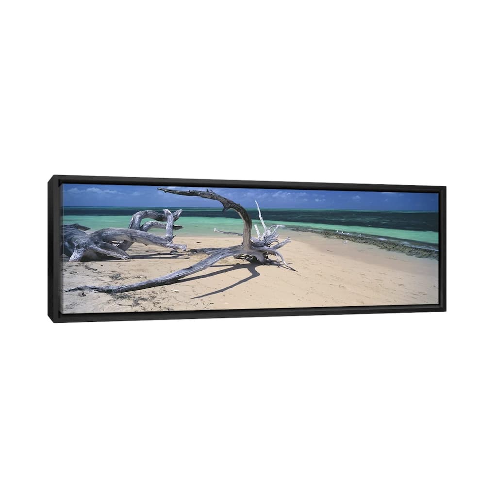 iCanvas "Driftwood on the beach, Green Island,Great Barrier Reef, Queensland, Australia" by Panoramic Images Framed Canvas Print