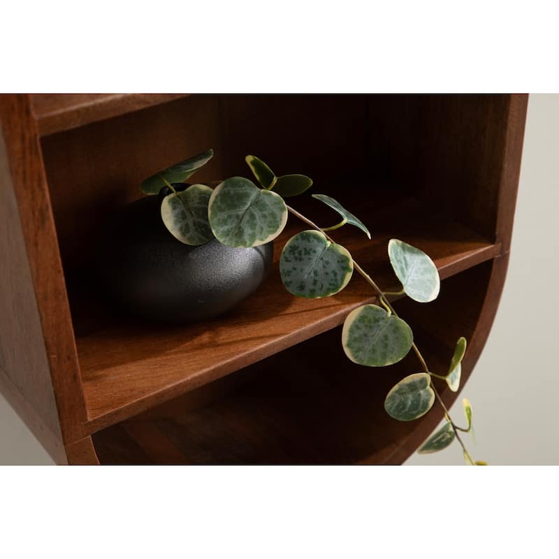 Kate and Laurel Hutton Wood Capsule Wall Shelf