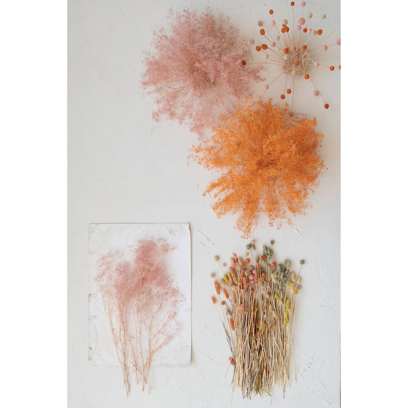 Dried Natural Bunny Tail Grass Bunch, Set of 3 - 2.0"L x 5.9"W x 19.6"H