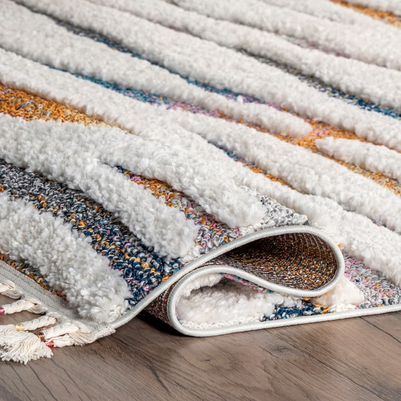 Nuloom Jodie Rainbow Zebra Braided Tassle Area Rug