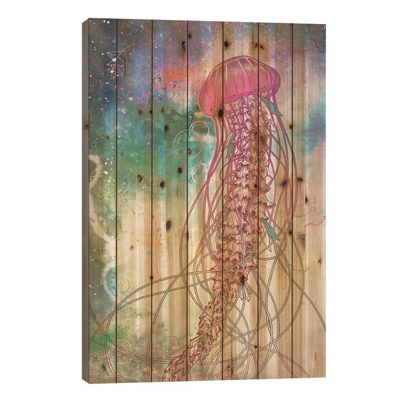 Space Jelly Print On Wood by Mat Miller - Multi-Color - 26x18x1.5