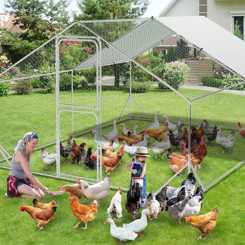 Large Metal Chicken Coop Walk-in Poultry Cage