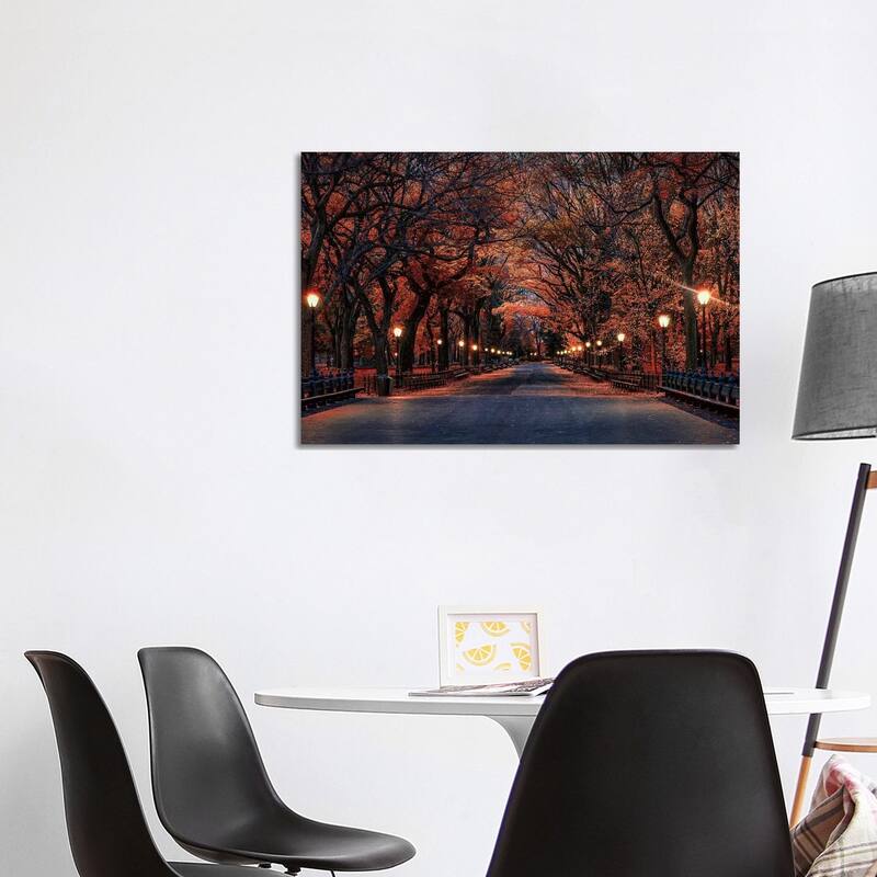 iCanvas "Central Park Fall" by David Gardiner Canvas Print - 26x40x1.5