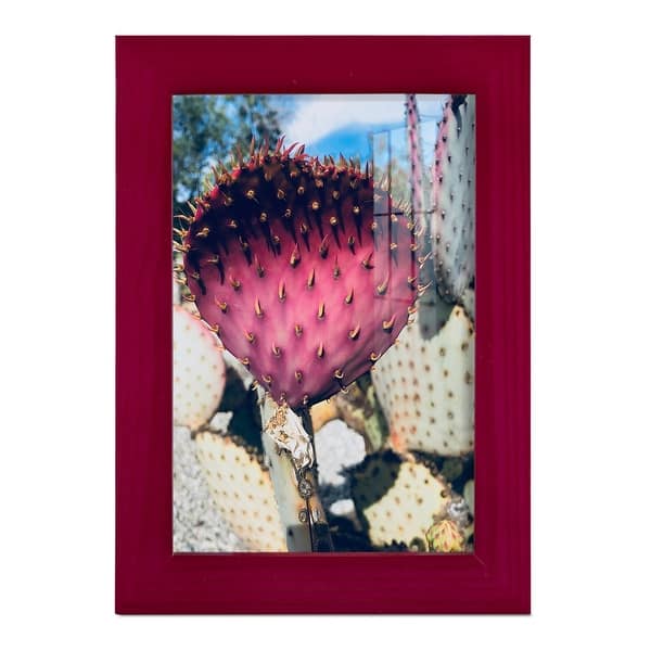 slide 2 of 140, Pink Yellow Cactus III -Framed Print w/glass-Cherry Red 4x6 - Red