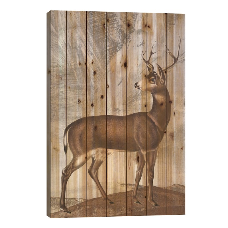 Posing Deer II Print On Wood by Karen Smith - Multi-Color - 26x18x1.5