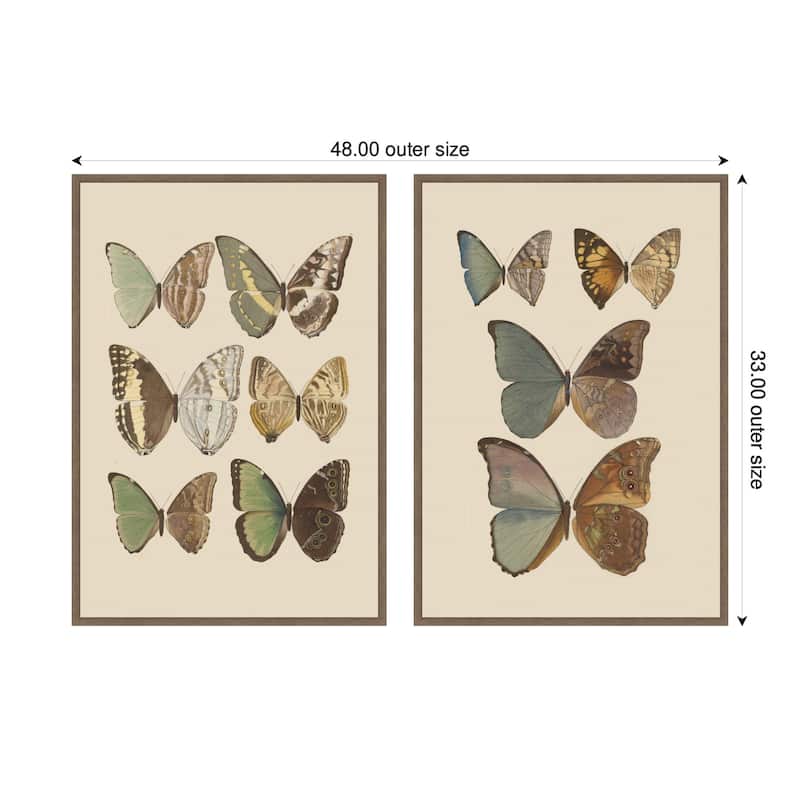 Kate and Laurel Exotische schmetterlinge Otto Staudinger 2 Piece Framed Canvas Wall Art Set by Nostalgia Prints