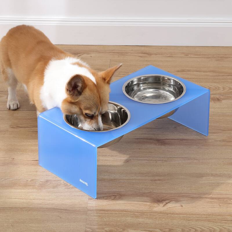Keaton 7.5" Medium/Large Modern Lucite Rectangular Elevated Pet Feeder with 54oz 2-Stainless Steel Bowls