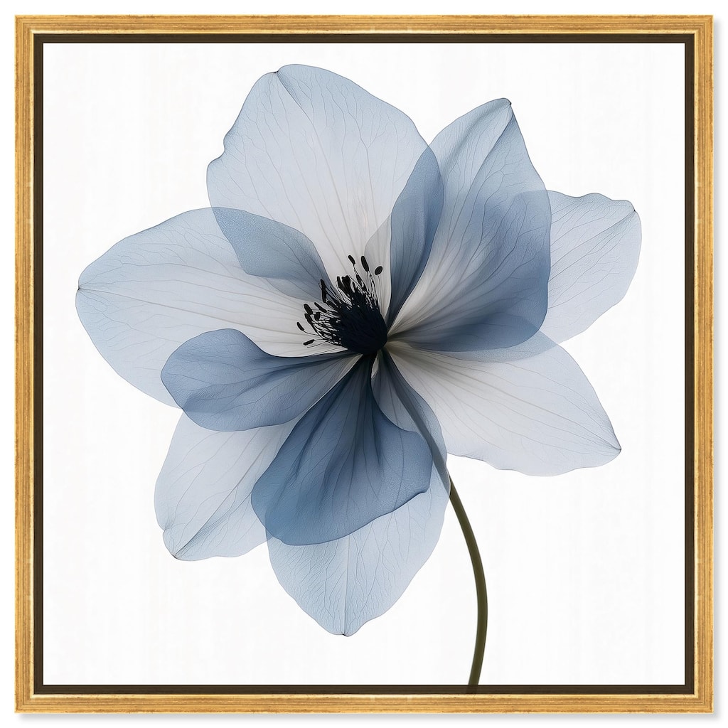 Morning Petalia III Canvas by Art Remedy