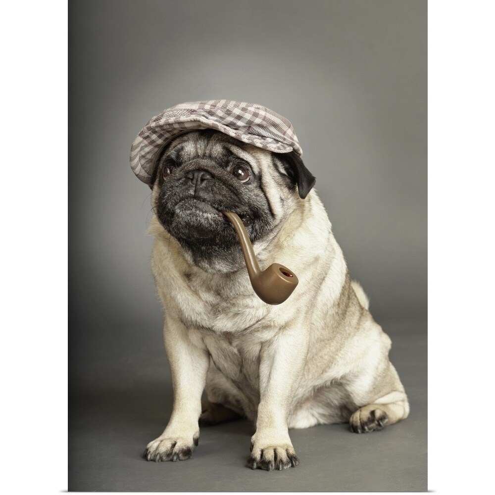 dog in flat cap