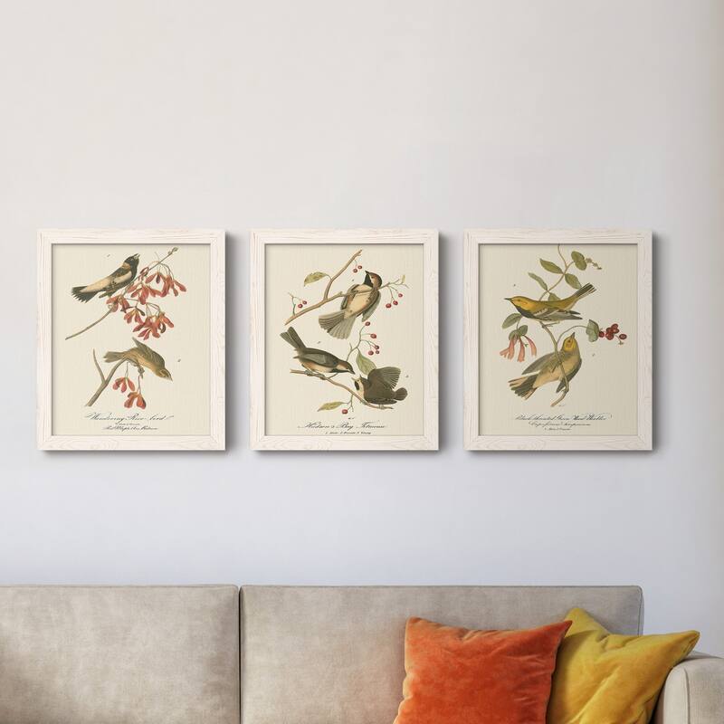 Wandering Rice Bird-Premium Framed Canvas - Ready to Hang - Multi-Color