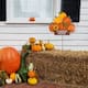 Option 1-Piece 42"H Pumpkins