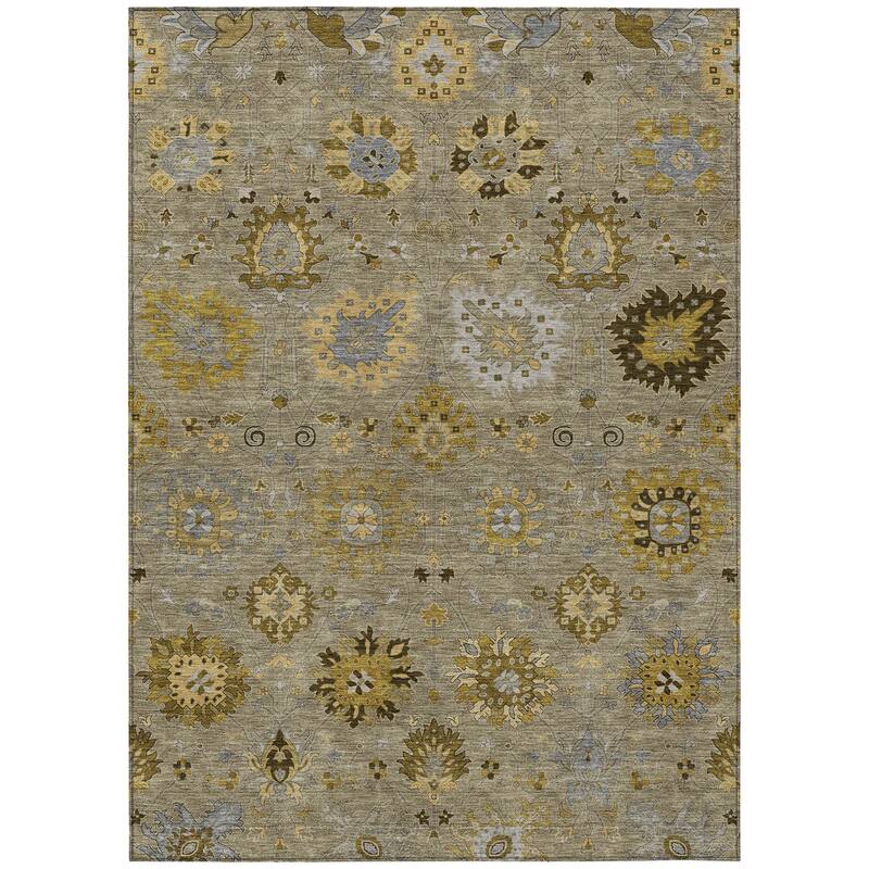 Machine Washable Indoor/ Outdoor Vintage Traditional Chantille Rug