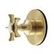 Option Brushed Brass