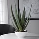 preview thumbnail 3 of 1, Uttermost Evarado Aloe Planter