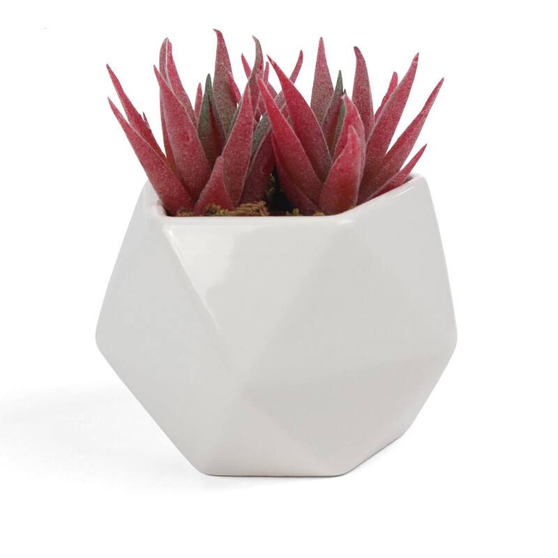 Artificial Succulent - 1 pack - Haworthia